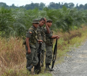 Militaires sur un plantation de palmier à huile, à Chocó, Colombie. (Photo : Simon Bruno) 