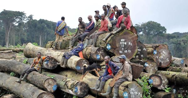 Villagers at the site of a new industrial oil palm plantation in Cameroon. (Photo: Greenpeace)