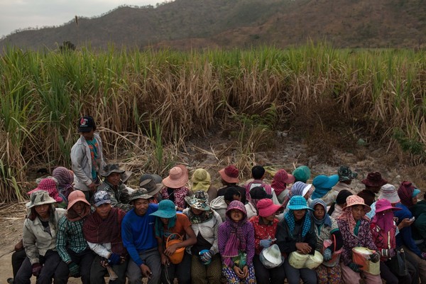 Pobladores de una región de Camboya desplazados para dejar lugar a plantaciones de caña de azúcar pertenecientes a un senador bien conectado. Menos de un cuarto del millón 500 mil pequeños agricultores de Camboya tiene tierra. En 2001, el gobierno promulgó un nuevo recurso legal que permite a las compañías privadas mantener concesiones de tierra de 10 mil hectáreas por hasta 99 años. Esta ley ha permitido la transferencia del 70% de la tierra arable del país —2 millones 100 mil hectáreas— a empresas de agronegocios y forzó a cientos de miles de campesinos a salir de sus tierras. (Foto: Nicolas Axelrod/Ruom)