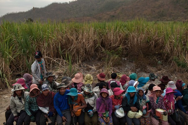 Cambodian villagers displaced to make way for sugarcane plantations belonging to a well-connected senator. Less than a quarter of the country’s 1.5 million small farmers have land. In 2001, the government passed a new law covering that permits private companies to hold concessions of 10,000 ha of land for up to 99 years. This law has enabled the transfer of 70% of the country’s arable land – 2.1 million ha – to industrial agriculture firms and forced hundreds of thousands of farmers off their lands. (Photo: Nicolas Axelrod/Ruom)