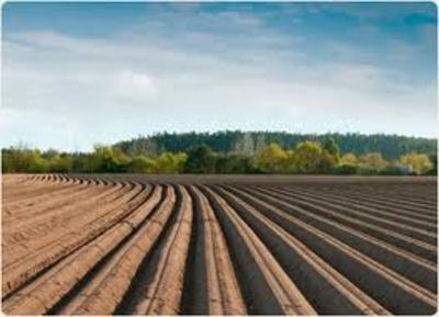 The global food supply chain-image