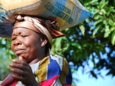 G20-Agriculture: Des centaines d'organisations disent STOP à l'accaparement de terres agricoles!-image