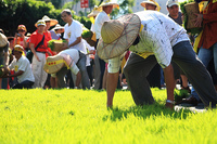 Stop land grabbing in Taiwan!-image