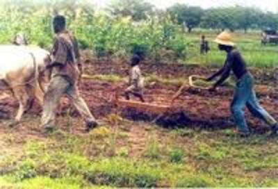 Vidéo: Benin achète des terres-image