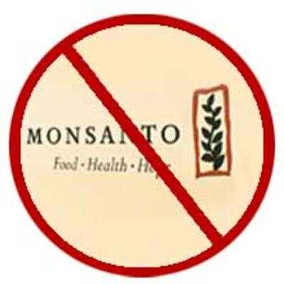 ¿Monsanto prepara el desembarco final sobre las semillas en América Latina?-image