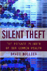 Silent Theft - book review-image
