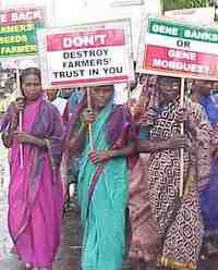 A Global Week of Action against GM, in Andhra Pradesh, India-image