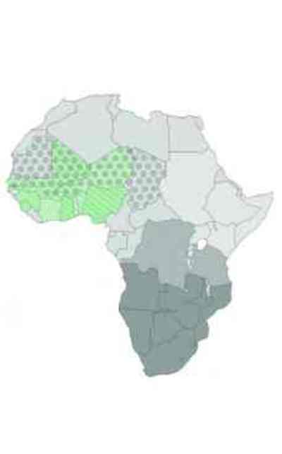 Lois sur les semences en Afrique : Un tapis rouge pour les sociétés privées-image