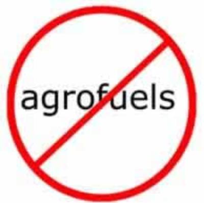 Stop the agrofuel craze!-image