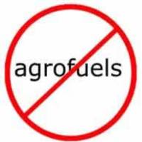 Stop the agrofuel craze!-image