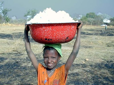 Towards the adoption of a national framework for biosafety in Senegal-image