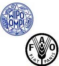 Fear over growing WIPO-FAO links-image