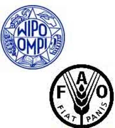 Fear over growing WIPO-FAO links-image