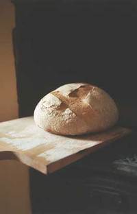 The bread we eat-image