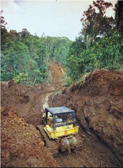 Les agrocarburants en Asie  Ils alimentent la pauvreté, la déforestation et le changement climatique.-image