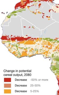 Changements climatiques en Afrique de l'Ouest : risques pour la sécurité alimentaire et la biodiversité-image
