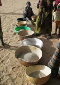 Semences paysannes fondement de la souveraineté alimentaire en Afrique de l'Ouest (1)-image