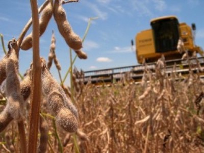 Land grabbing in Latin America-image