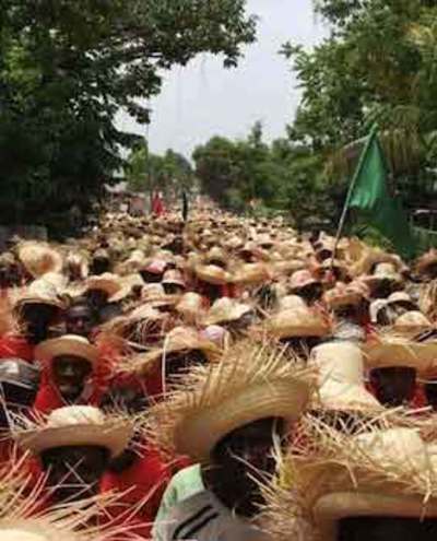 Haiti’s farmers call for a break with neoliberalism-image