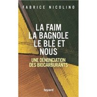 La faim, la bagnole, le blé et nous : une denonciation des biocarburants-image