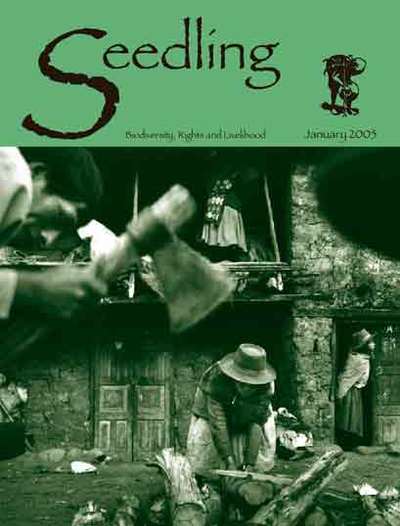 Seedling - January 2005