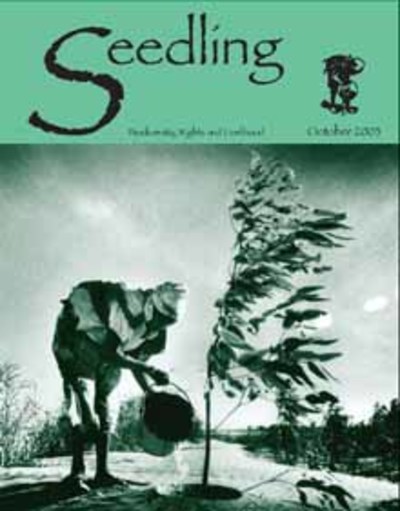Seedling - October 2003