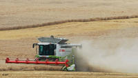 GRAIN: “Tenemos que cambiar radicalmente el sistema alimentario” -image