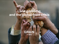 Land grabbing and the global food crisis - presentation-image