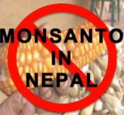 STOP Monsanto in Nepal-image