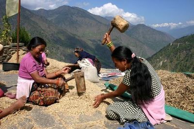 Cibo e cambiamento climatico: il legame caduto in oblio-image