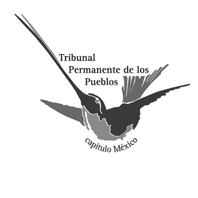 Tribunal permanente de los Pueblos, capítulo México: Dictamen de la Audiencia general introductoria-image