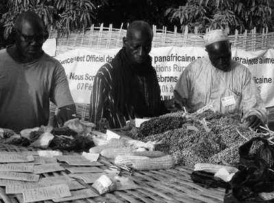 3ème foire sous-régionale ouest-africaine des semences paysannes-image