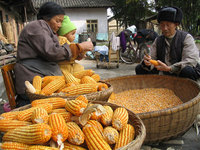 Who will feed China: agribusiness or its own farmers? Decisions in Beijing echo around the world-image