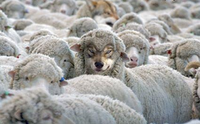 Behind the 'Green Economy': Profiting from environmental and climate crisis-image