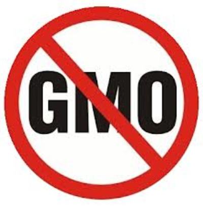 India: GMOs on their way out?-image