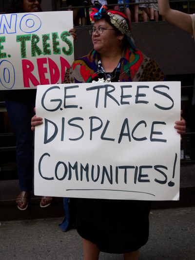 GE trees to fight climate change?-image