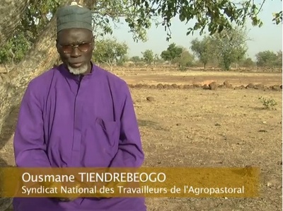 Vidéo: Coton Bt au Burkina : la parole aux paysans-image