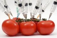 GMOs: Fooling – er, "feeding" – the world for 20 years-image