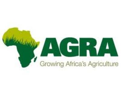 Modernising African agriculture: who benefits?-image