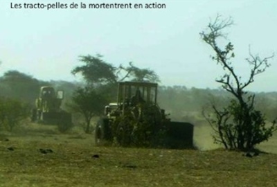 Reportage sur la projet Sénéthanol-image