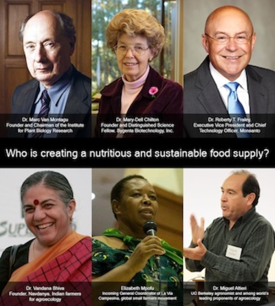 Choice of Monsanto Betrays World Food Prize Purpose, Say Global Leaders-image
