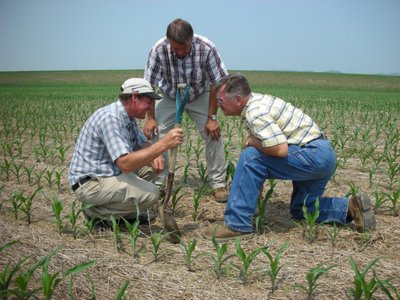 Our coming food crisis-image