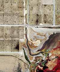 Factory Food From Above: Satellite Images of Industrial Farms-image