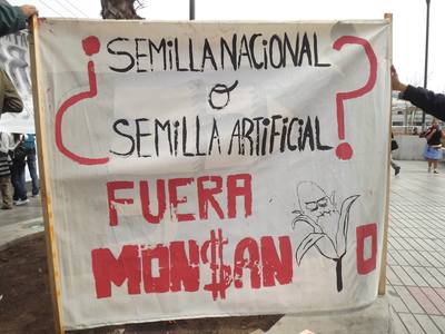 Leyes de semillas en América Latina: una ofensiva que no cede y una resistencia que crece y suma-image