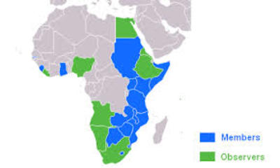 La loi sur la protection des varietes ameliorees des plantes de l'ARIPO criminalise les droits des agriculteurs et bouleverse les systèmes semenciers en Afrique-image