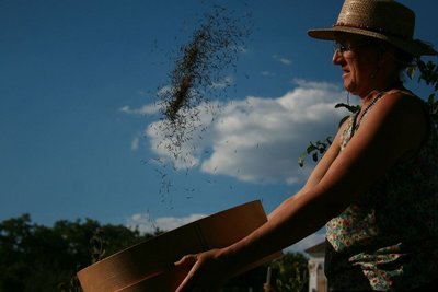 The global struggle for peasants seeds: a struggle for our future-image