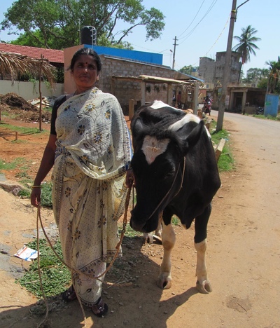 Defending people's milk in India-image