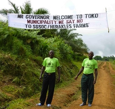 Des activistes camerounais au tribunal pour protestation pacifique contre un accapareur de terres de Wall Street-image