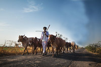 India's new milky way-image