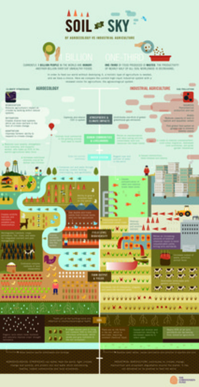 Soil to sky: agroecology vs. industrial agriculture-image